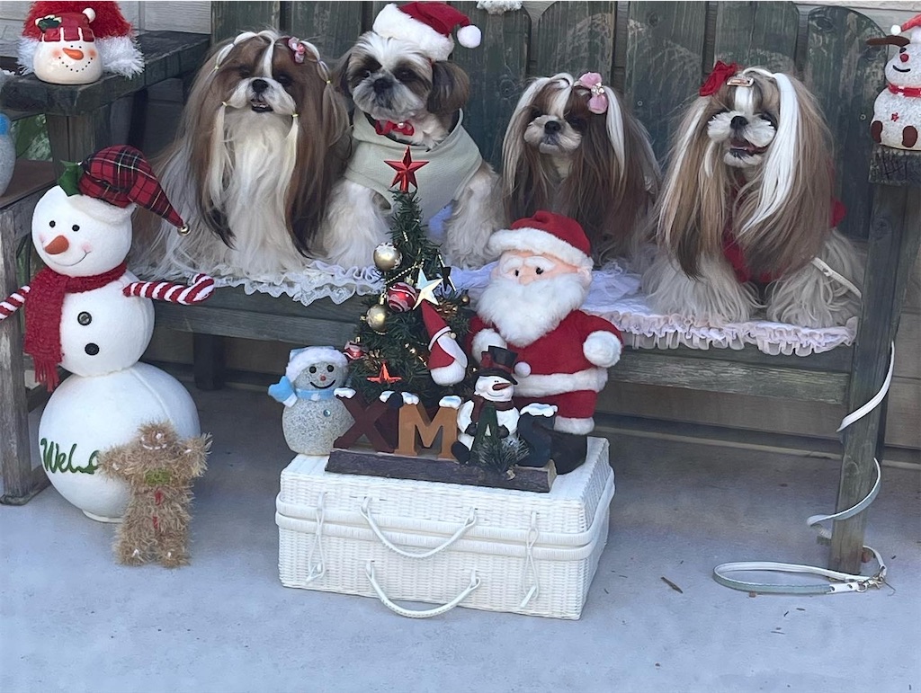 f:id:zappa38:20221031190843j:image