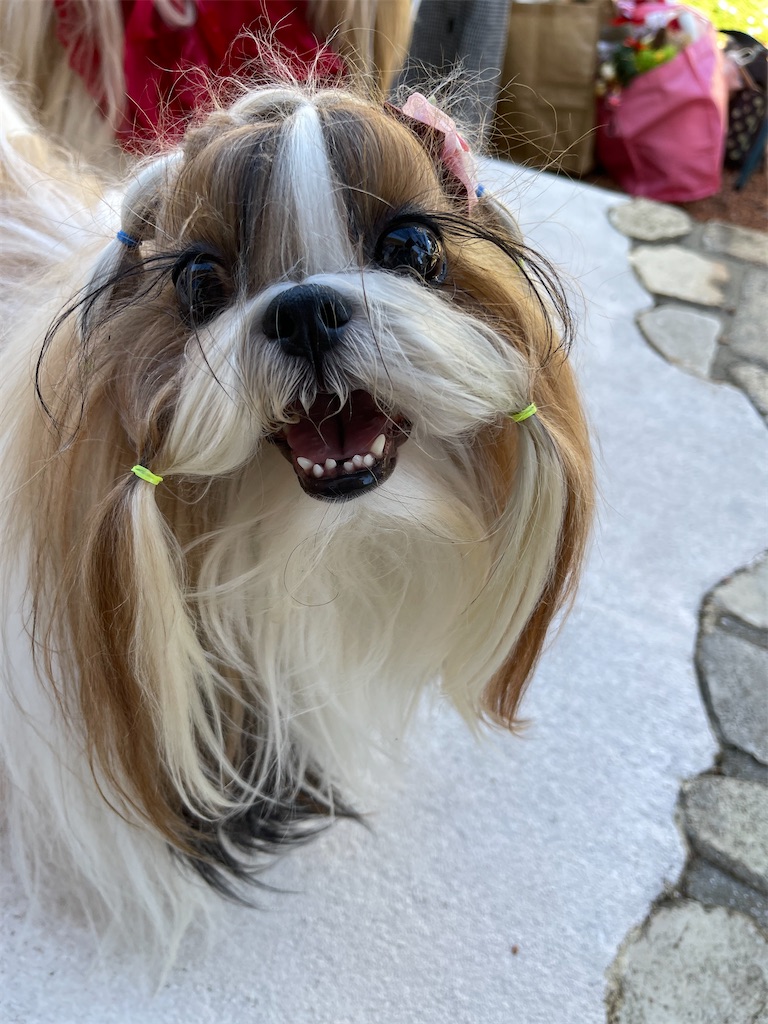 f:id:zappa38:20221031190846j:image