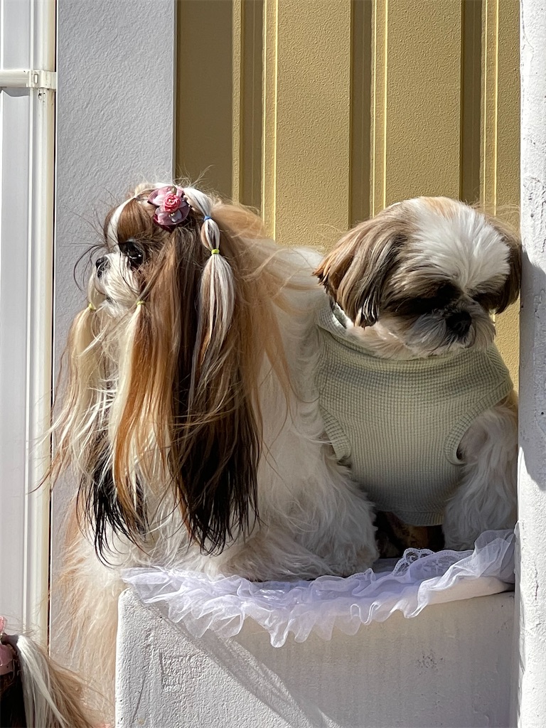 f:id:zappa38:20221031190849j:image