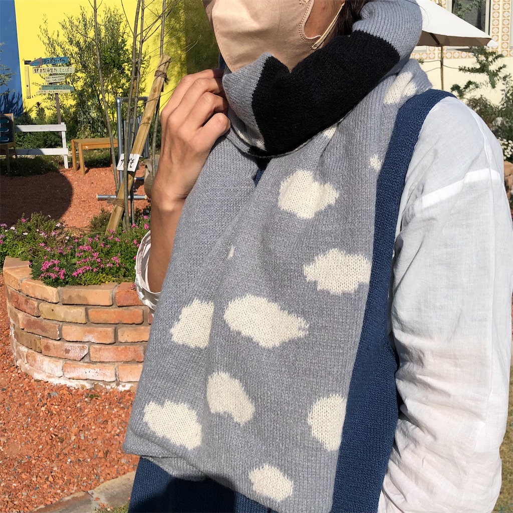 f:id:zappa38:20221109170048j:image