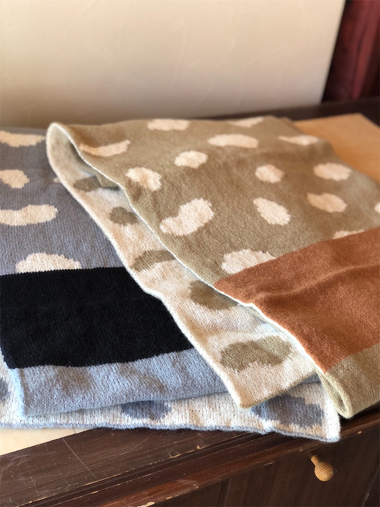 f:id:zappa38:20221109170211j:image