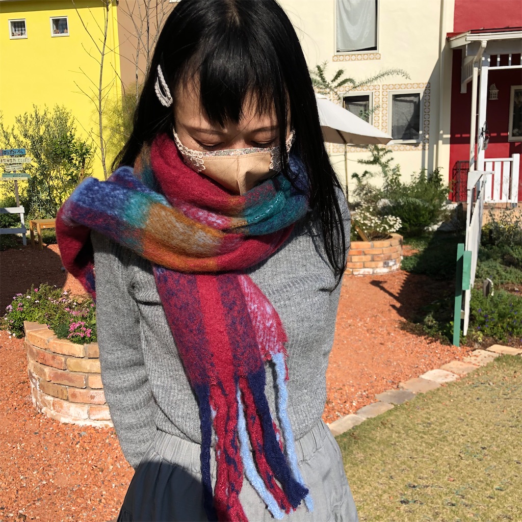 f:id:zappa38:20221109170251j:image