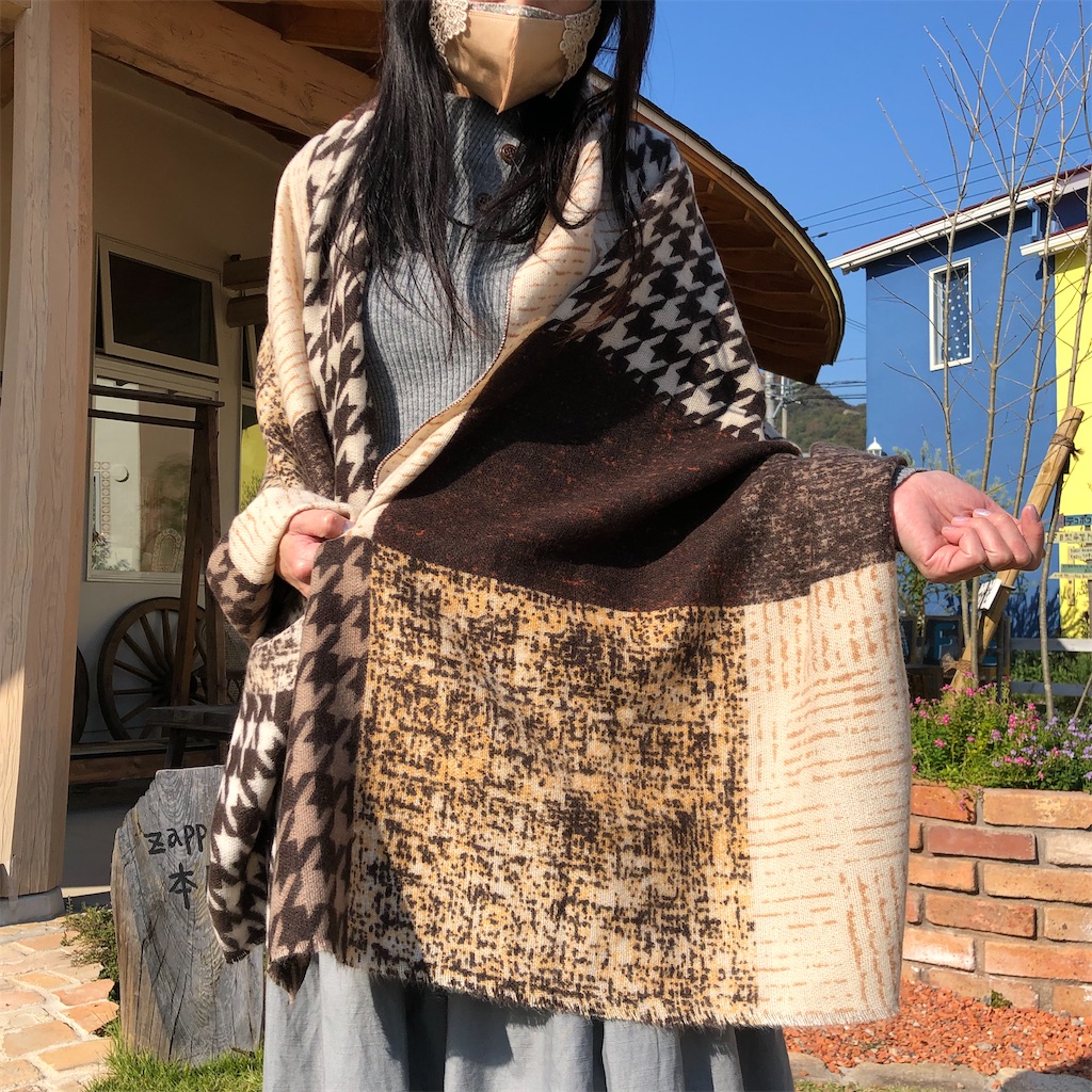 f:id:zappa38:20221109170710j:image