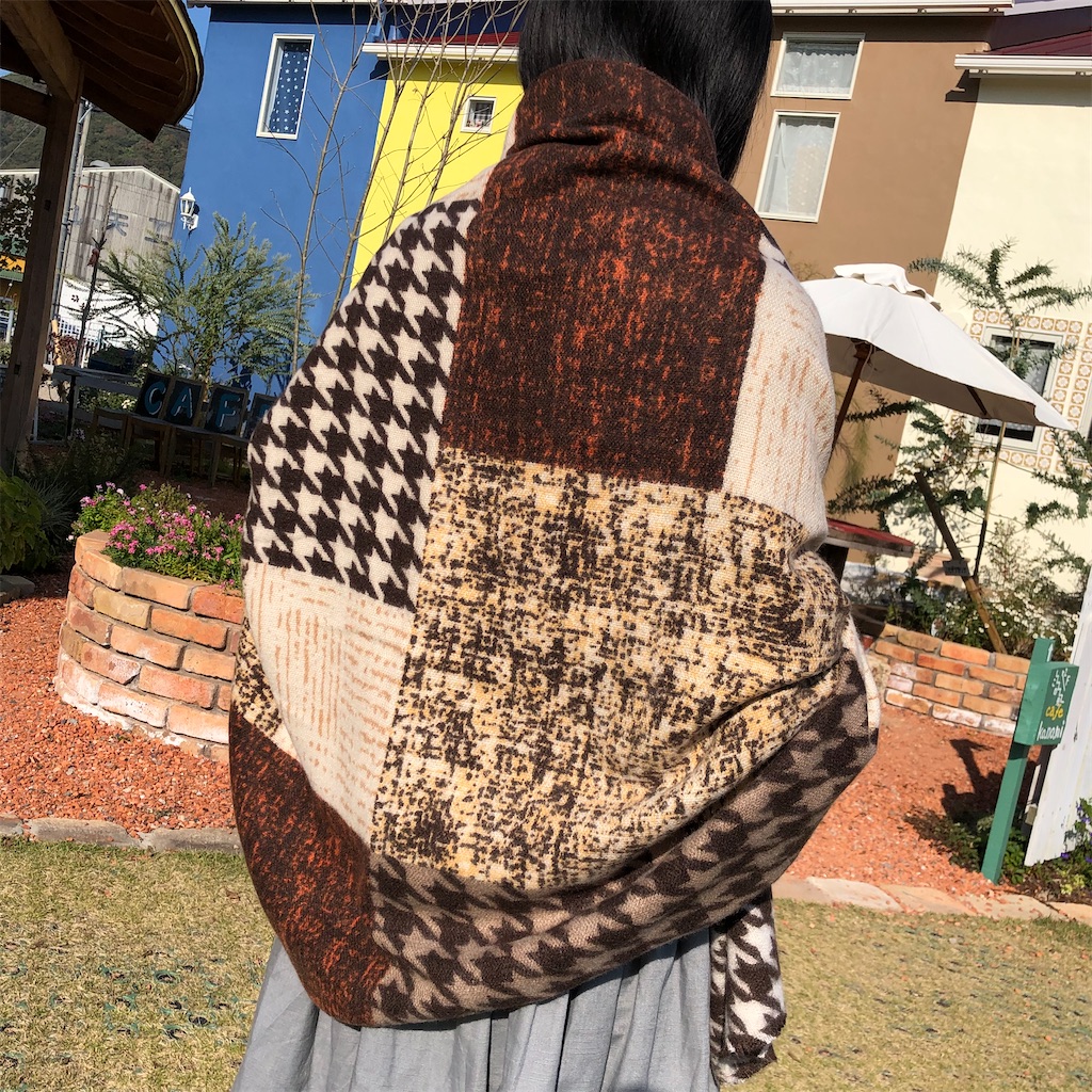 f:id:zappa38:20221109170724j:image