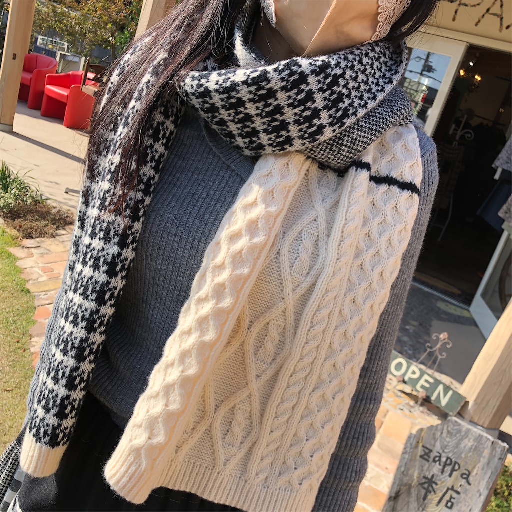 f:id:zappa38:20221109170930j:image