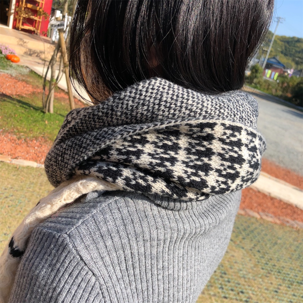 f:id:zappa38:20221109170941j:image