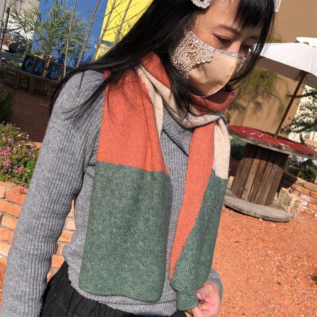 f:id:zappa38:20221109171649j:image