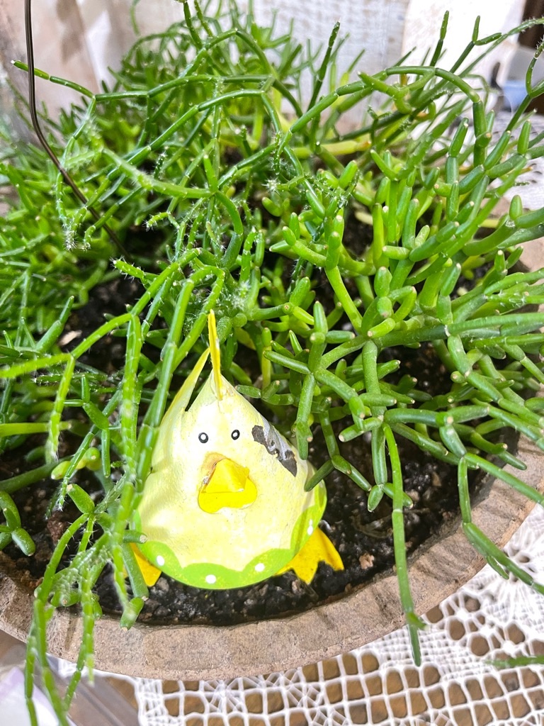 f:id:zappa38:20221110185753j:image