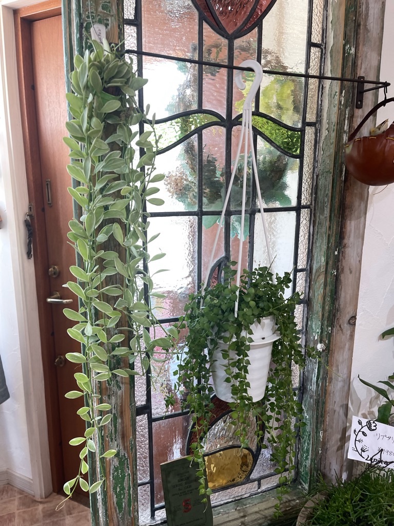 f:id:zappa38:20221110185756j:image