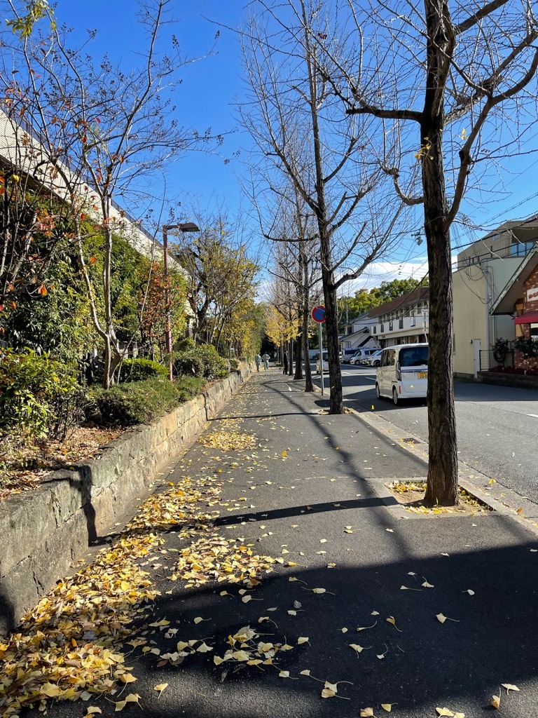 f:id:zappa38:20221214192838j:image f:id:zappa38:20221214192838j:image