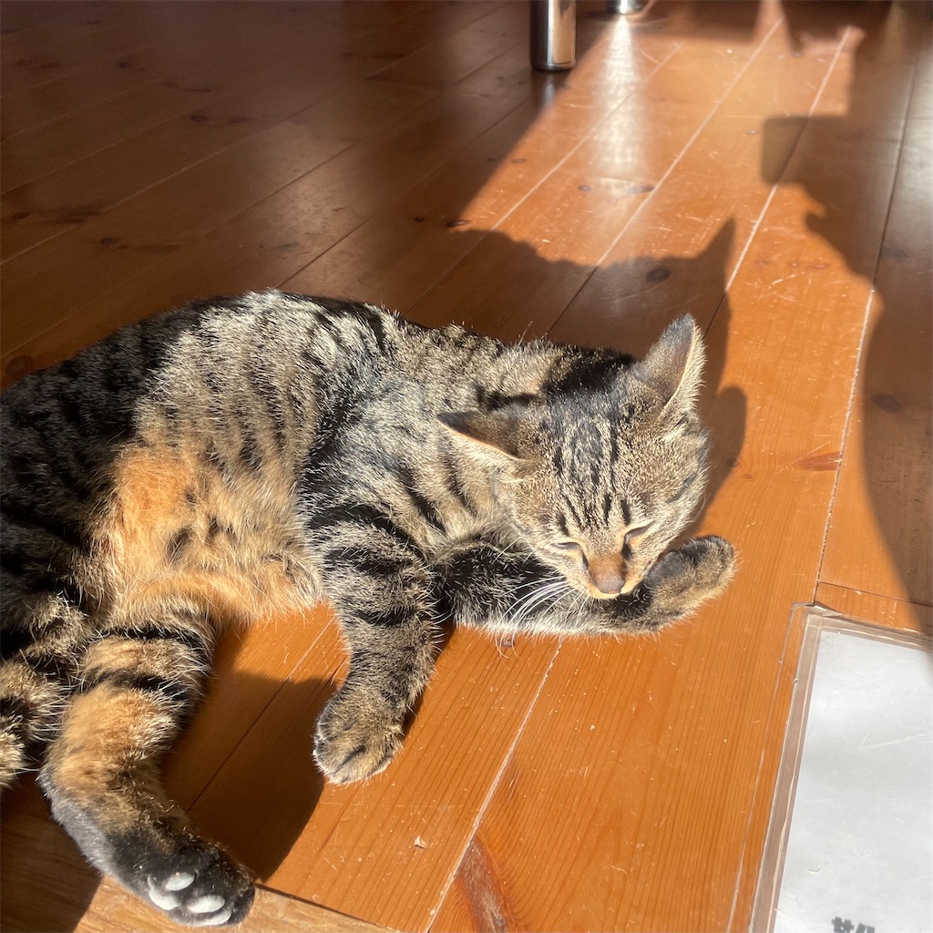 f:id:zappa38:20221214232153j:image f:id:zappa38:20221214232153j:image