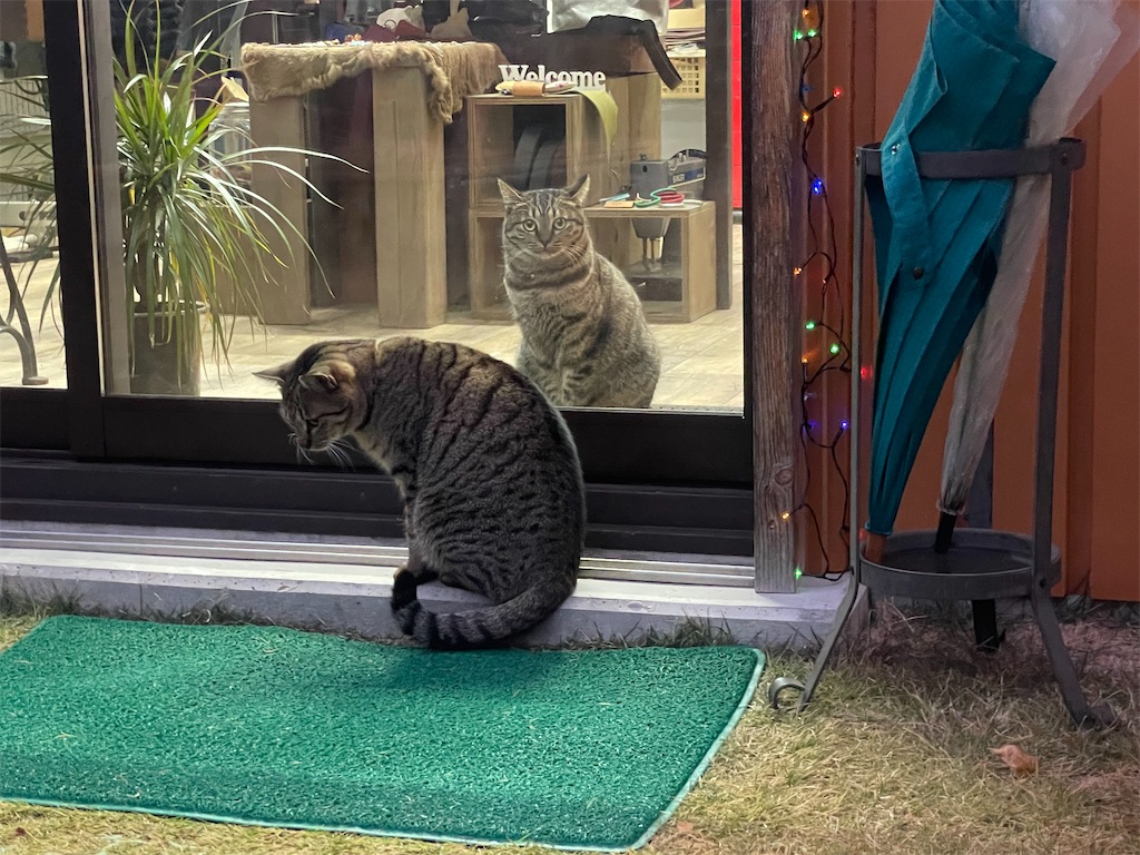 f:id:zappa38:20221217201028j:image f:id:zappa38:20221217201028j:image