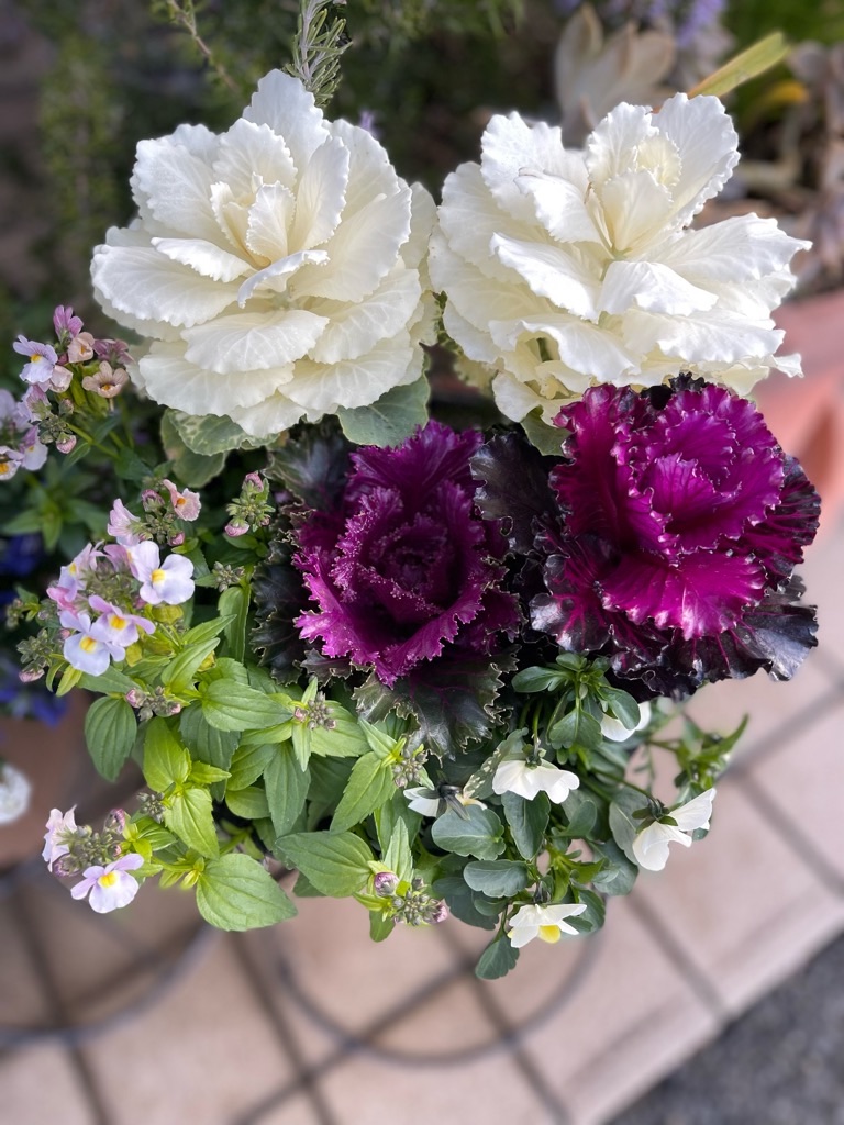 f:id:zappa38:20221220202412j:image