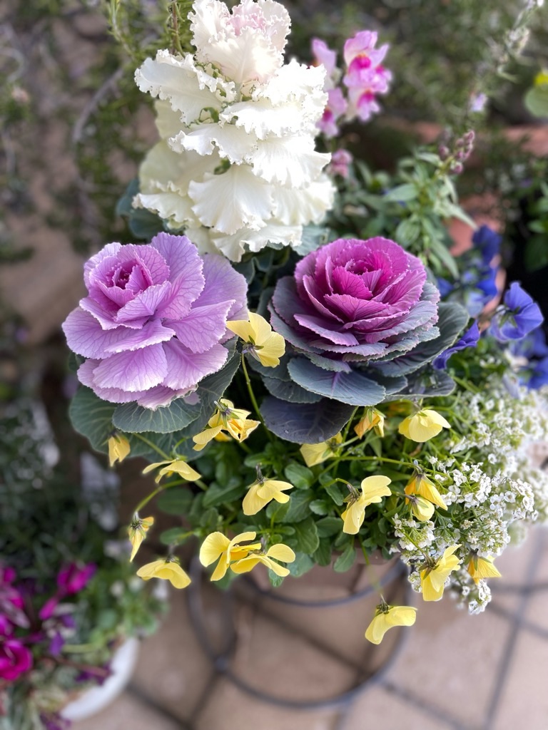 f:id:zappa38:20221220202418j:image