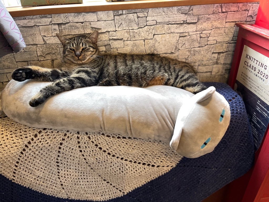 f:id:zappa38:20221220202428j:image