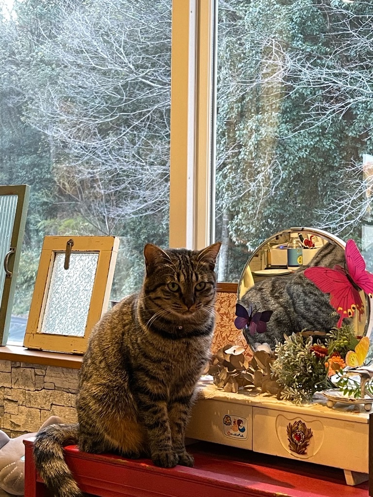 f:id:zappa38:20221220202437j:image