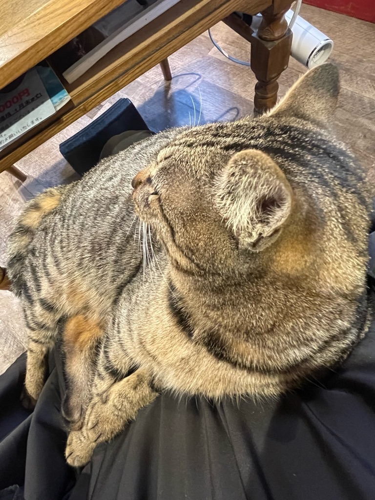 f:id:zappa38:20221220202441j:image