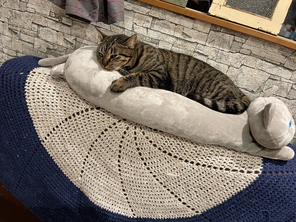 f:id:zappa38:20221220202512j:image