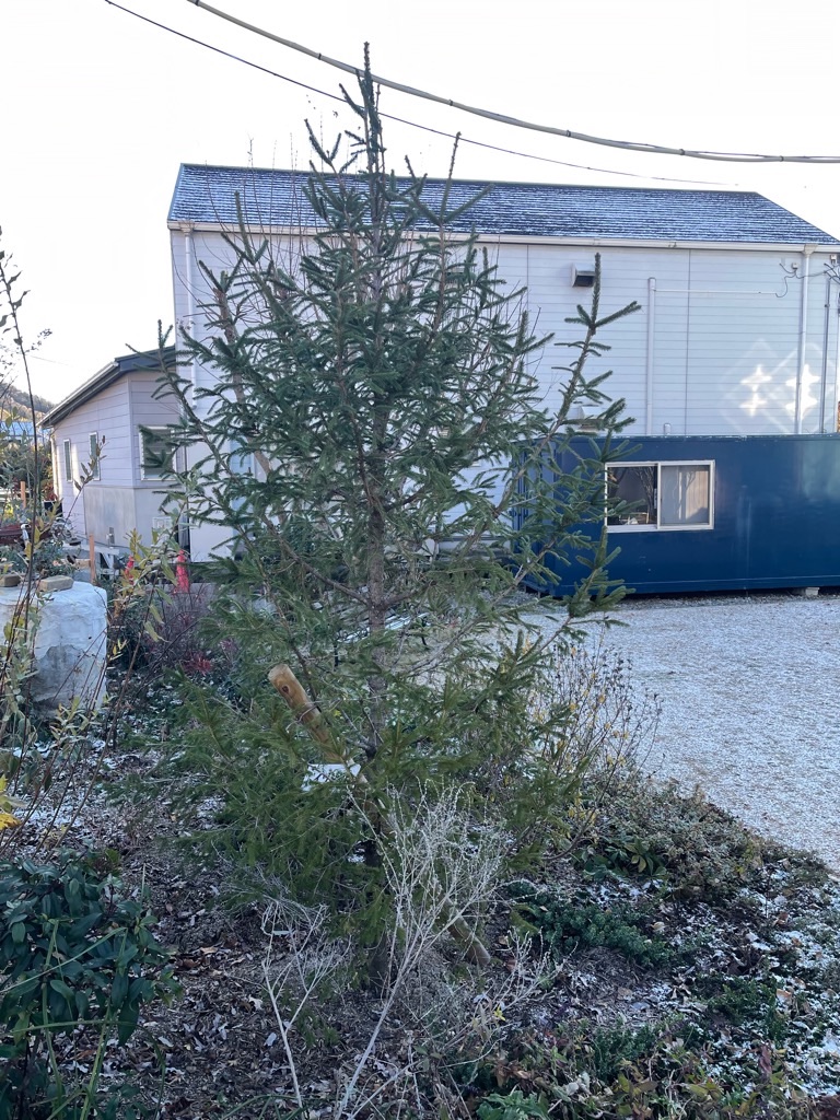 f:id:zappa38:20221223201236j:image f:id:zappa38:20221223201236j:image