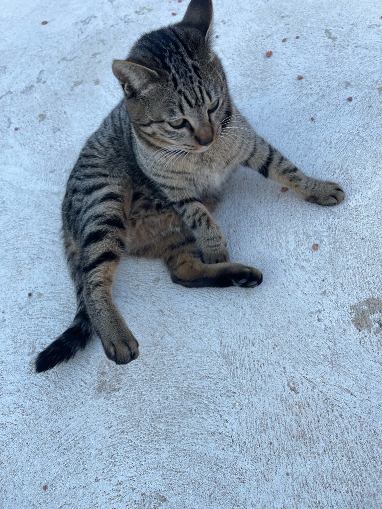 f:id:zappa38:20221223201243j:image f:id:zappa38:20221223201243j:image