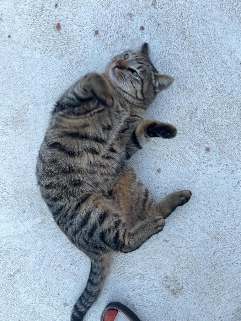 f:id:zappa38:20221223201249j:image f:id:zappa38:20221223201249j:image