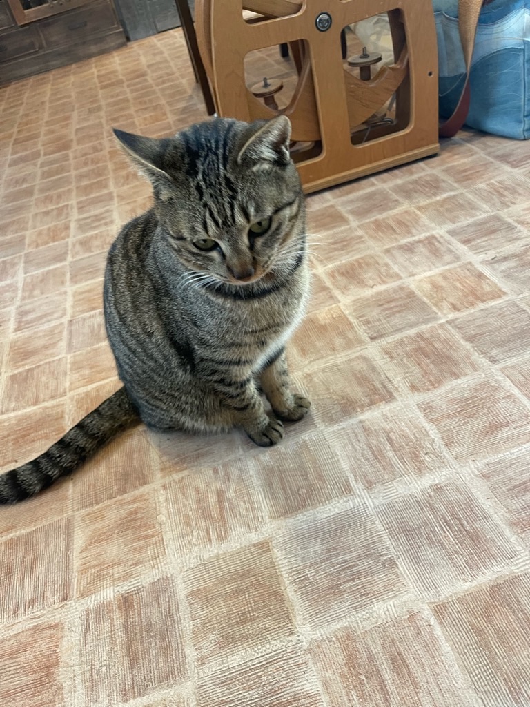 f:id:zappa38:20221223201402j:image f:id:zappa38:20221223201402j:image