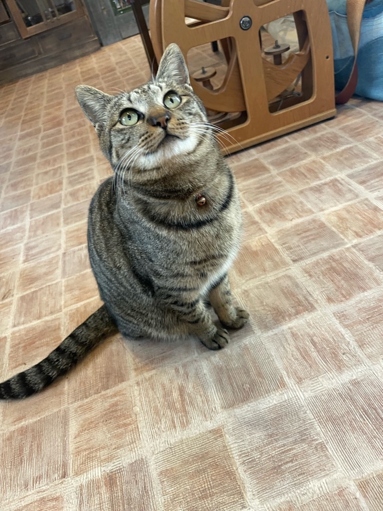 f:id:zappa38:20221223201405j:image f:id:zappa38:20221223201405j:image