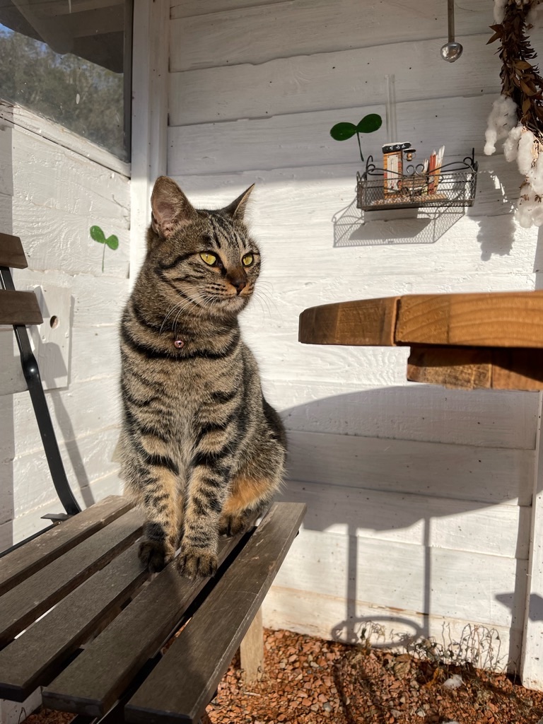 f:id:zappa38:20221231140843j:image f:id:zappa38:20221231140843j:image