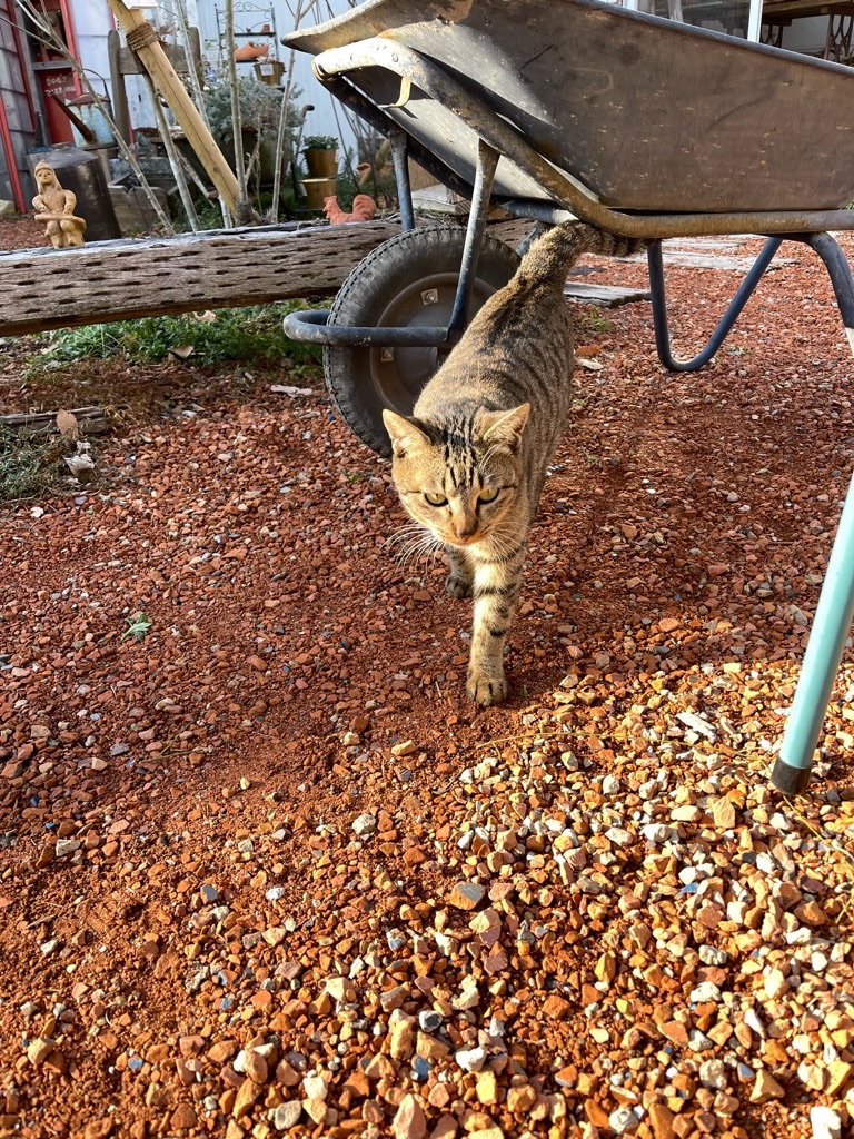 f:id:zappa38:20221231140847j:image f:id:zappa38:20221231140847j:image