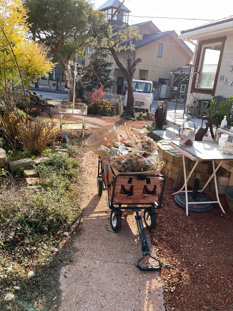 f:id:zappa38:20221231140853j:image f:id:zappa38:20221231140853j:image