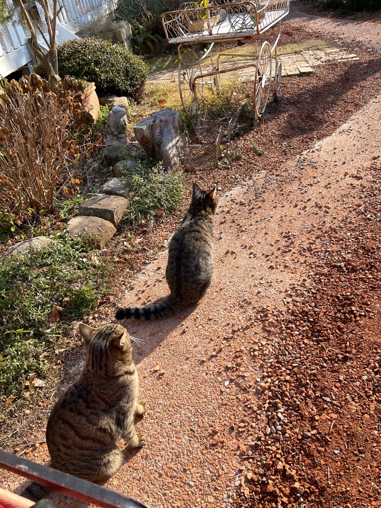 f:id:zappa38:20221231140856j:image f:id:zappa38:20221231140856j:image