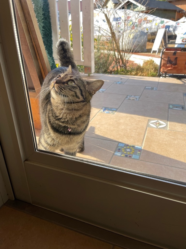 f:id:zappa38:20221231140859j:image f:id:zappa38:20221231140859j:image