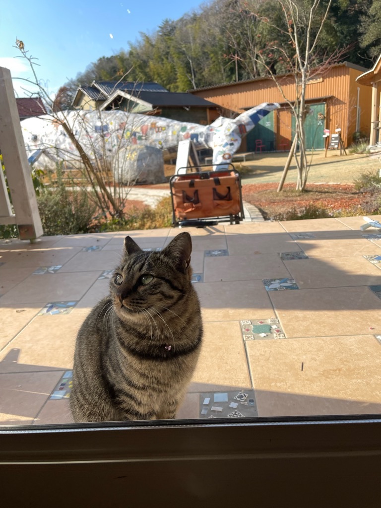 f:id:zappa38:20221231140902j:image f:id:zappa38:20221231140902j:image