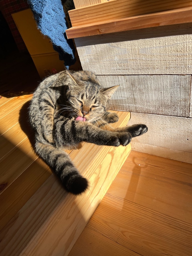 f:id:zappa38:20221231140905j:image f:id:zappa38:20221231140905j:image