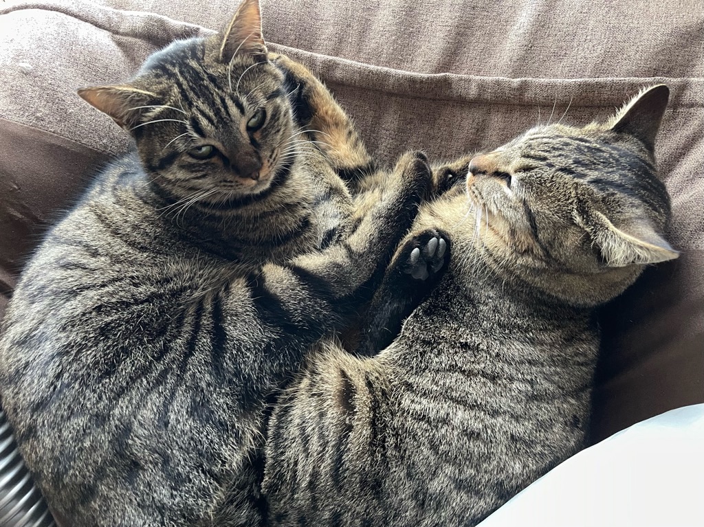 f:id:zappa38:20221231140909j:image f:id:zappa38:20221231140909j:image