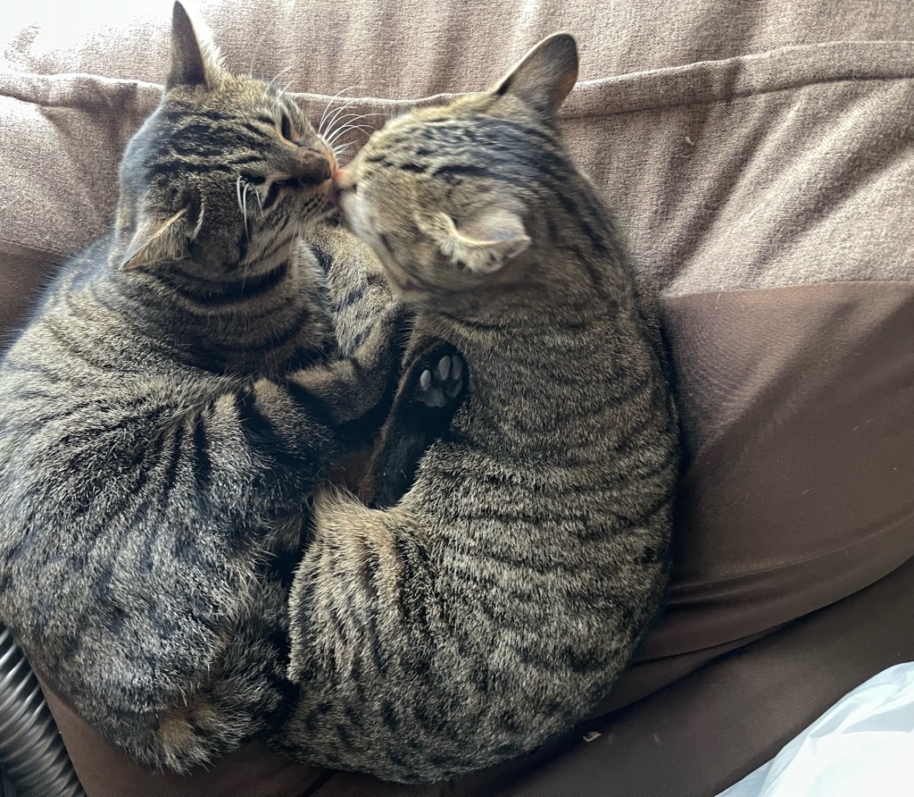 f:id:zappa38:20221231140912j:image f:id:zappa38:20221231140912j:image