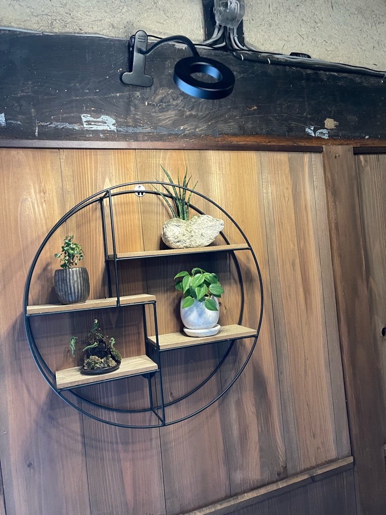 f:id:zappa38:20221231140933j:image f:id:zappa38:20221231140933j:image