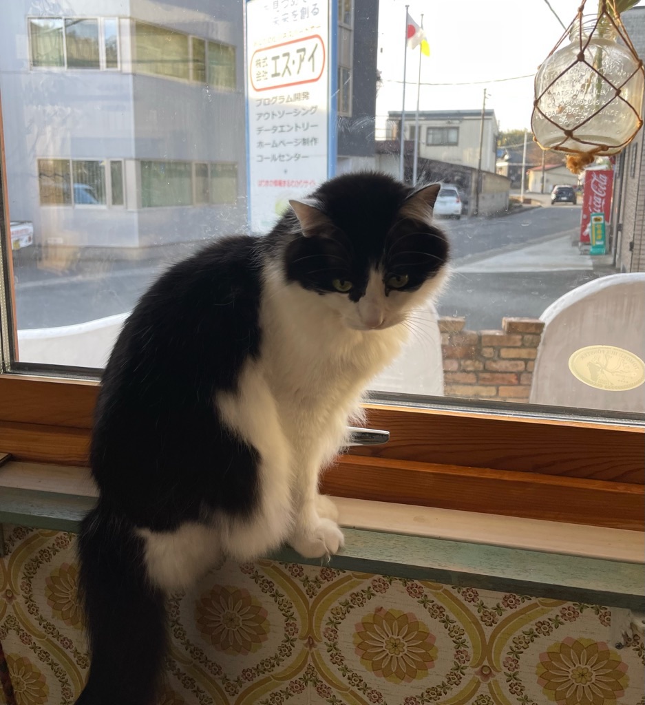 f:id:zappa38:20230106194746j:image