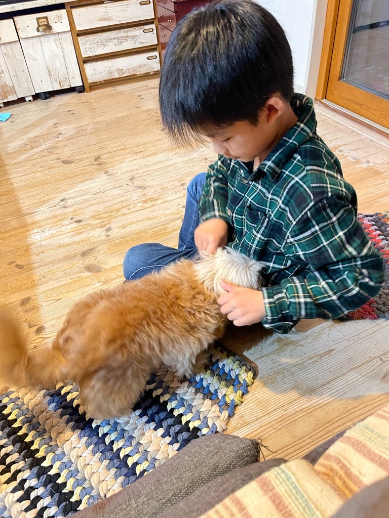 f:id:zappa38:20230106195007j:image