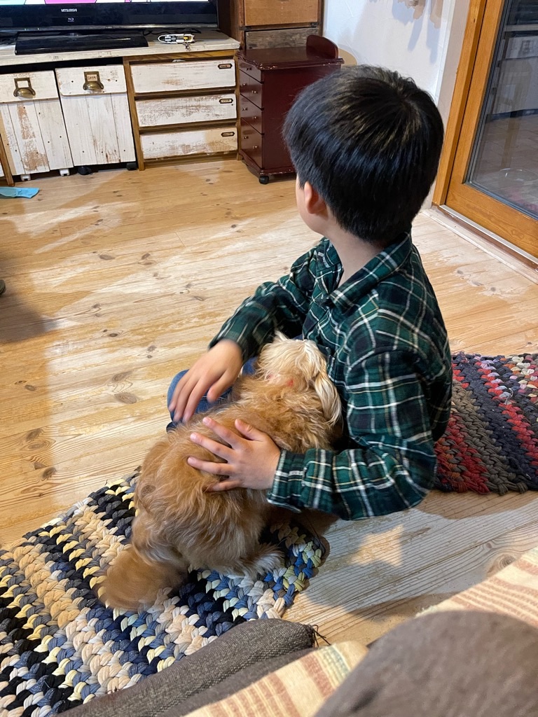 f:id:zappa38:20230106195010j:image