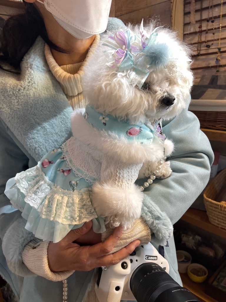 f:id:zappa38:20230120192744j:image