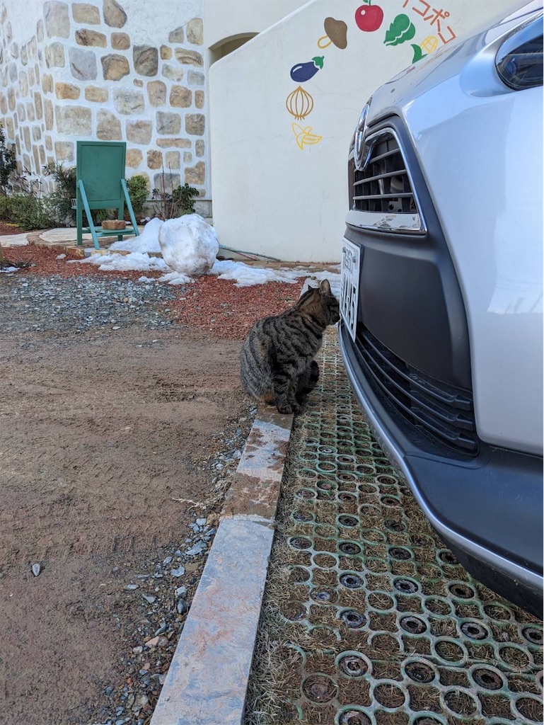 f:id:zappa38:20230130212543j:image