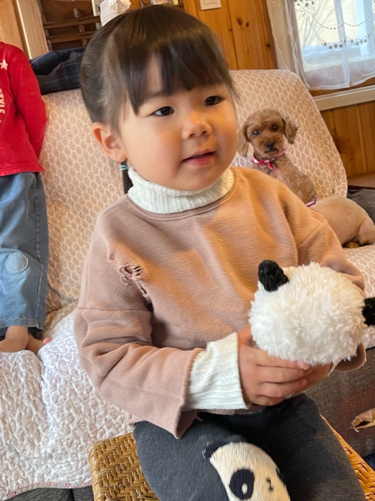 f:id:zappa38:20230131193748j:image