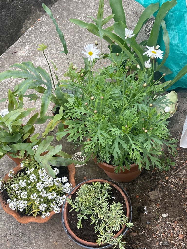 f:id:zappa38:20230316172525j:image