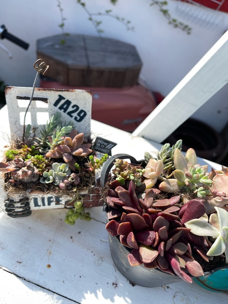 f:id:zappa38:20230329175509j:image