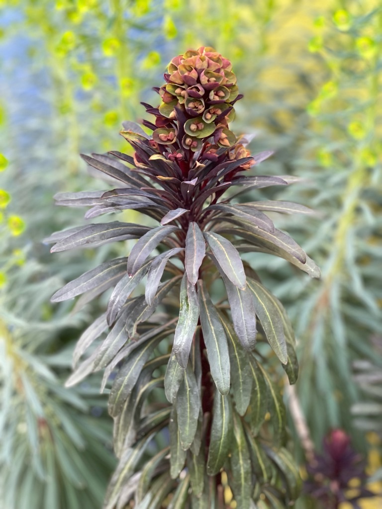 f:id:zappa38:20230329175512j:image