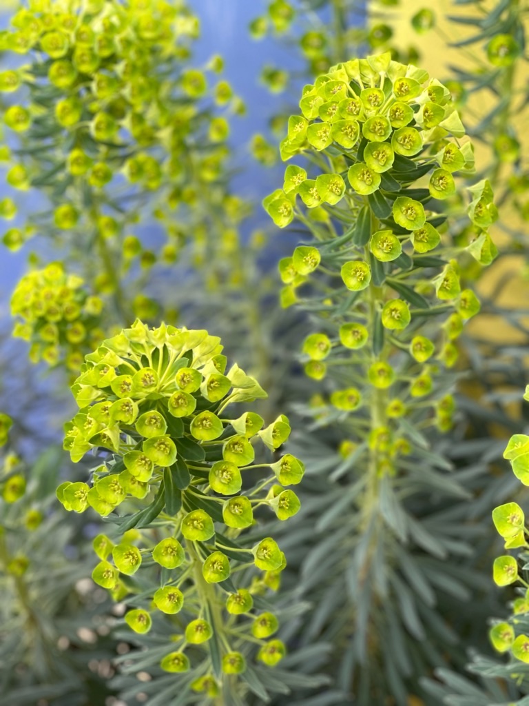 f:id:zappa38:20230329175518j:image