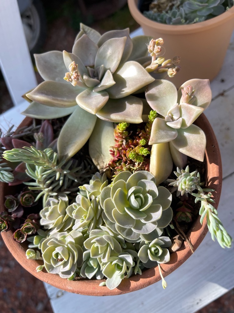 f:id:zappa38:20230329175528j:image