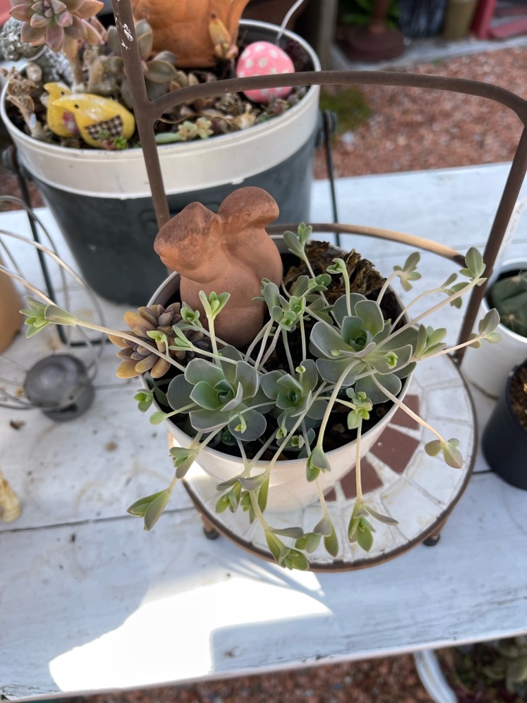 f:id:zappa38:20230329175531j:image