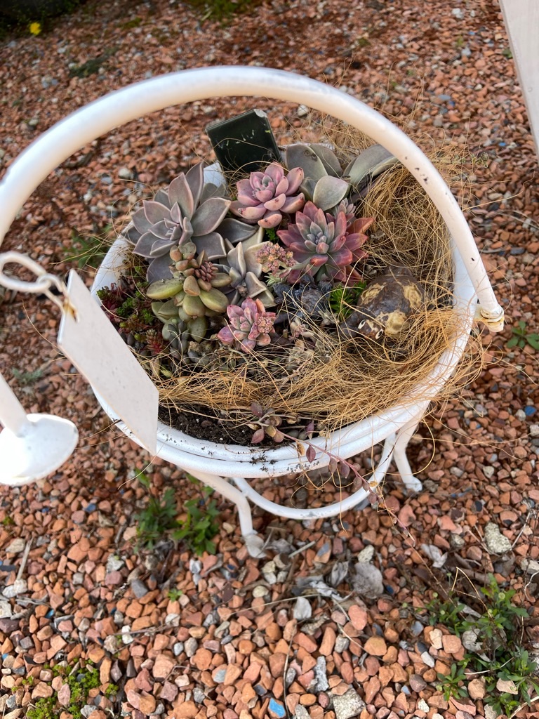 f:id:zappa38:20230329175537j:image